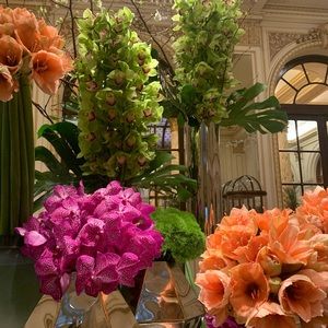 Meet your Posher, Laura